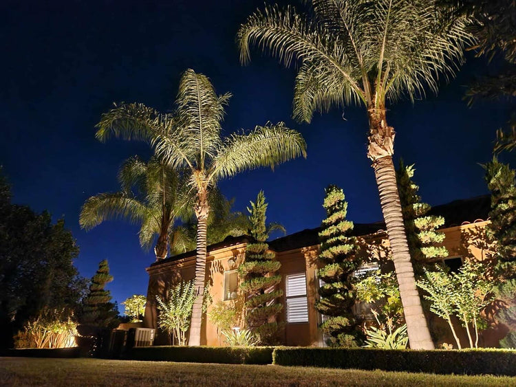How to Choose a Trustworthy Landscape Lighting Contractor
